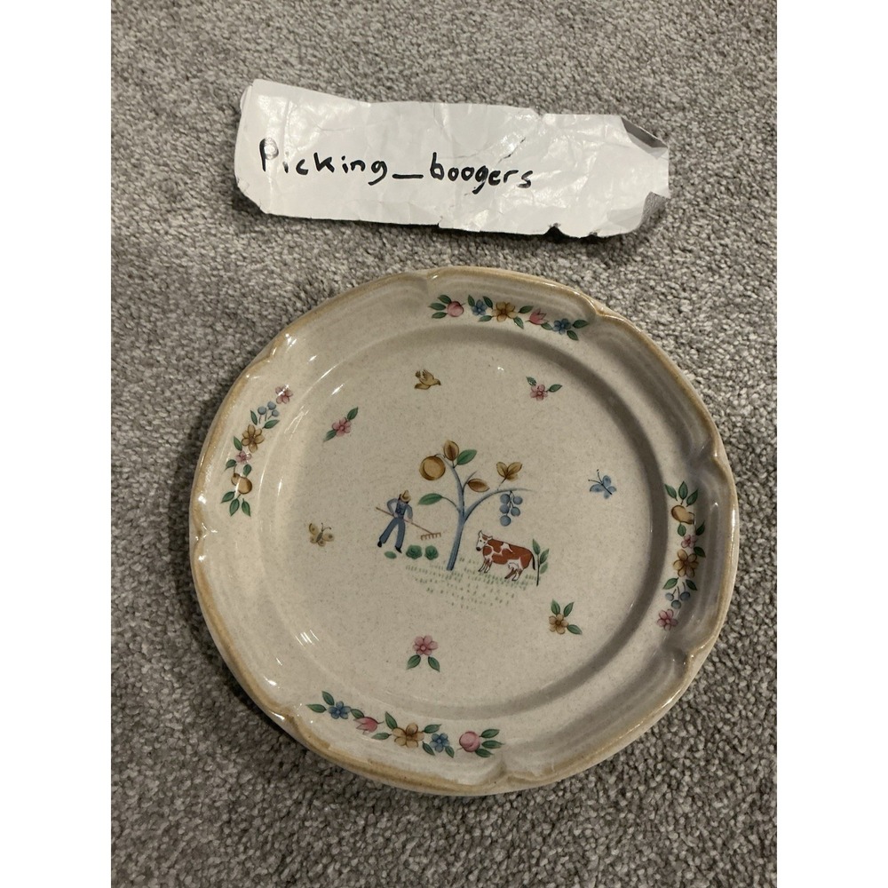 Set of 10 International Heartland Dinner Plate Farmhouse Country Stoneware Sakur